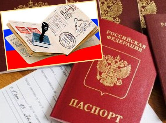прописка в Кольчугино